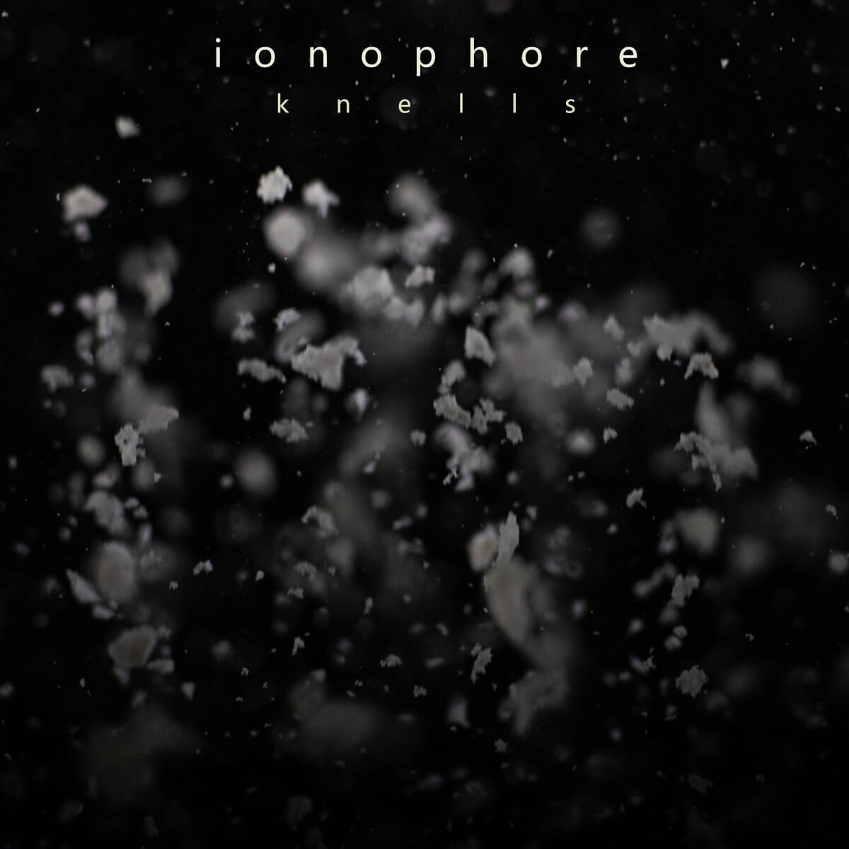 Ionophore top albums